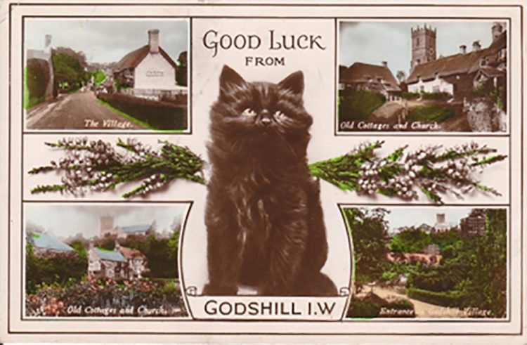 NEW BOOK SHOWS THE HISTORY OF GODSHILL IN 99 OLD POSTCARDS