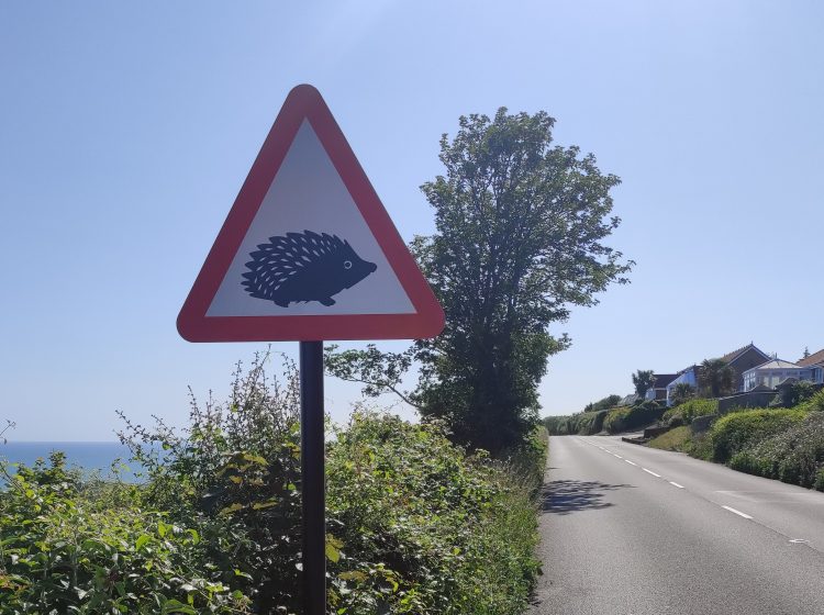 MOTORISTS URGED TO WATCH OUT FOR CROSSING WILDLIFE FOLLOWING SIGN ERECTION