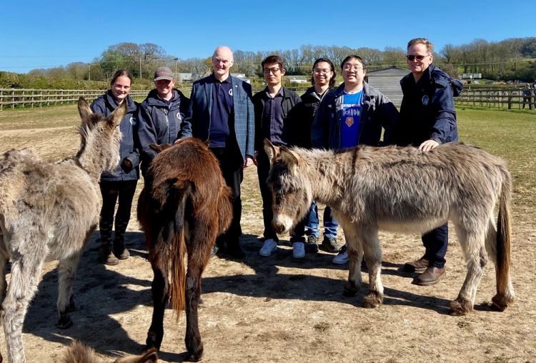 UNIVERSITY DEVELOPS AI APP TO HELP IDENTIFY DONKEYS AT ISLE OF WIGHT SANCTUARY