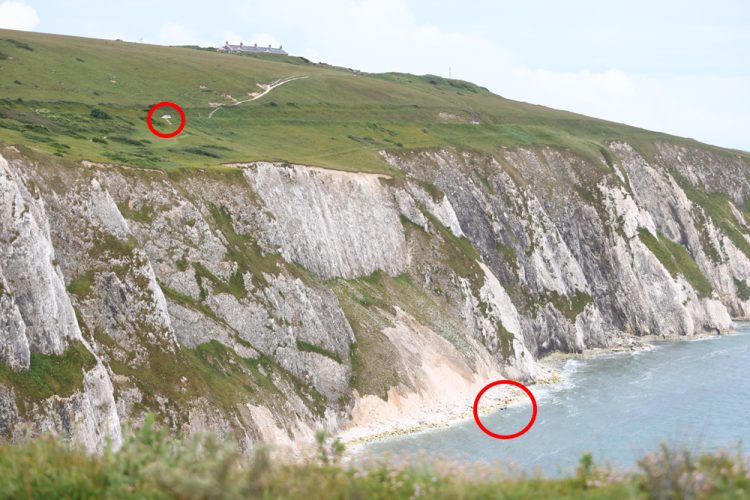 2 DEAD AFTER CAR PLUNGES 300FT OFF CLIFF AT THE NEEDLES