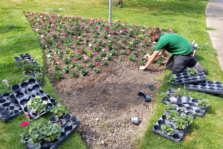 SUMMER PLANTING SCHEME ADDS A SPLASH OF COLOUR ACROSS THE ISLAND