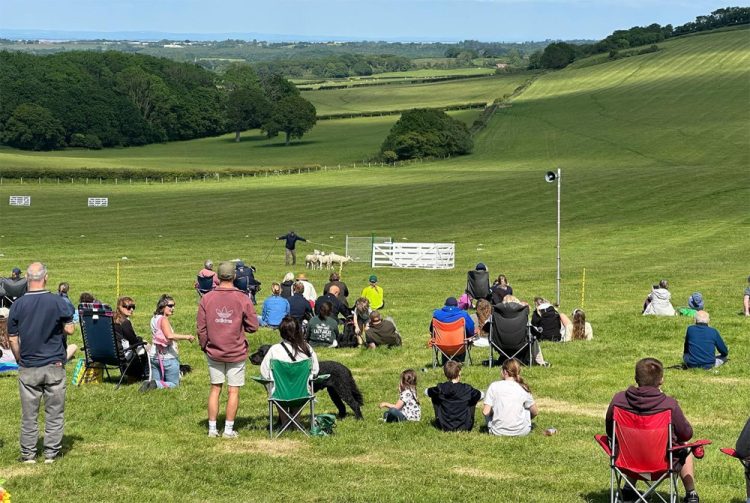 ISLE OF WIGHT SHEEPDOG TRIALS RETURN THIS WEEKEND WITH TOP TALENT AND FAMILY FUN