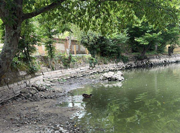 SMOKING IN BED LIKELY LED TO BEMBRIDGE WOMAN’S ACCIDENTAL DEATH CORONER CONCLUDES