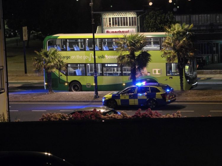 DOUBLE ARREST FOLLOWING SEAFRONT FRACAS IN RYDE