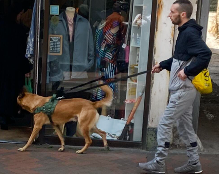 MAN SOUGHT BY POLICE AFTER DOG ATTACK IN VENTNOR