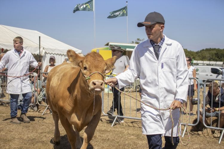 CROWDS ENJOY GLORIOUS SUNSHINE AT 124TH ROYAL ISLE OF WIGHT COUNTY SHOW