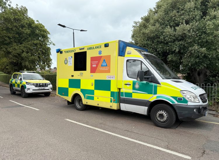 999 CALL FOR CARDIAC ARREST AT RYDE PLAYGROUND TURNS OUT TO BE DRUNKS