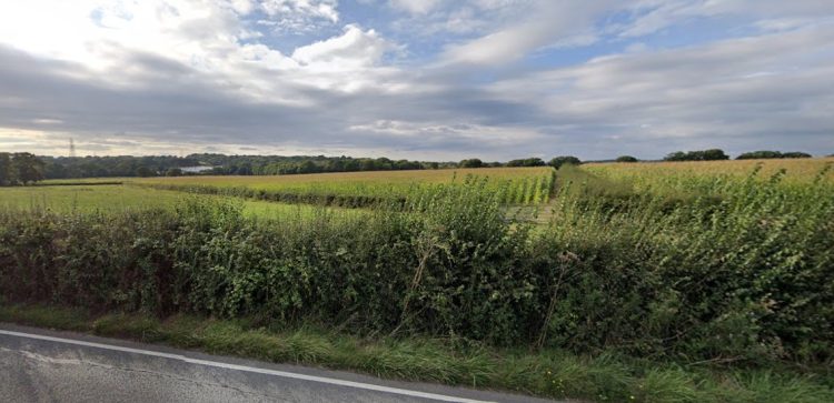 RENEWABLE ENERGY PARK NEAR WOOTTON LOOK SET TO BE CONDITIONALLY APPROVED
