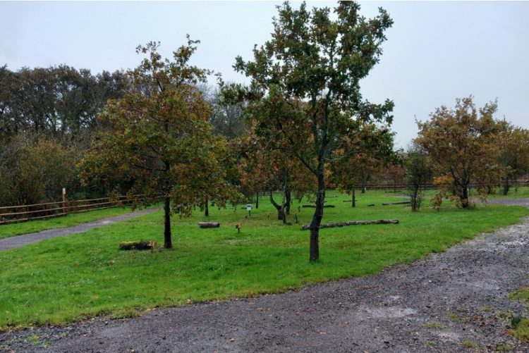 YEAR-ROUND MOTORHOME SITE NEAR NEWPORT GIVEN GREEN LIGHT