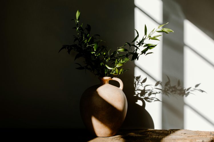 HOW TO MAXIMISE NATURAL LIGHT IN COASTAL HOMES: TIPS FROM ISLE OF WIGHT ARCHITECTS