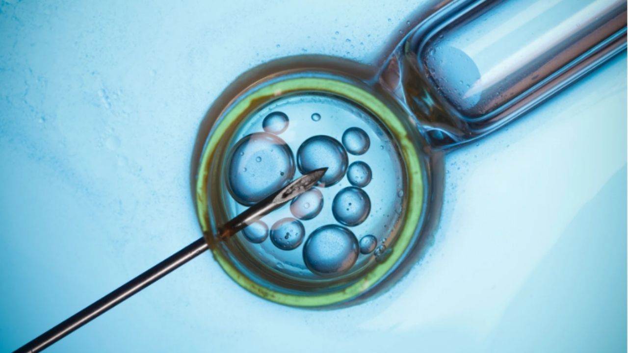 EXPLORING MODERN FERTILITY TREATMENTS WITH IVF, ICSI, PGT AND ADVANCED OPTIONS