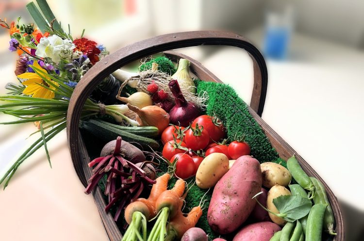 CHILLERTON FLOWER SHOW TO BLOOM WITH TRADITIONAL VILLAGE FUN