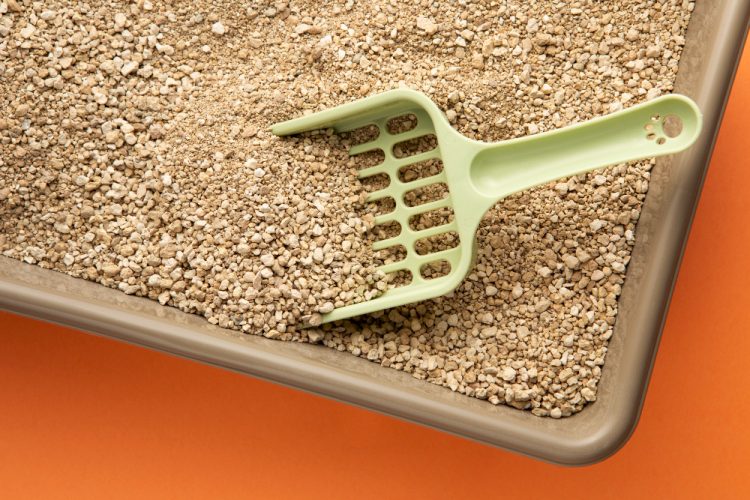 PACHA LITTER: TRULY ODOUR-FREE?