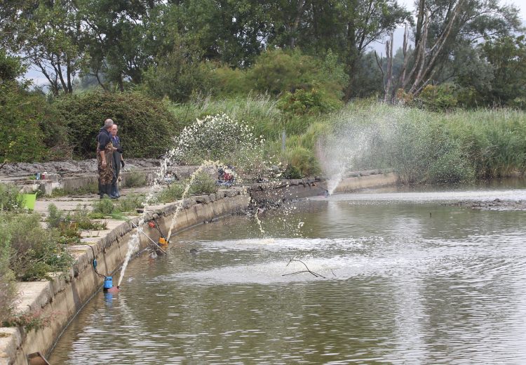 COMMUNITY RALLIES AS EFFORT TO SAVE WILDLIFE AT SANDOWN CANOE LAKE CONTINUES