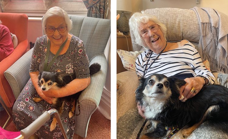COWES CARE HOME CELEBRATES NATIONAL DOG DAY WITH SPECIAL CANINE VISITS