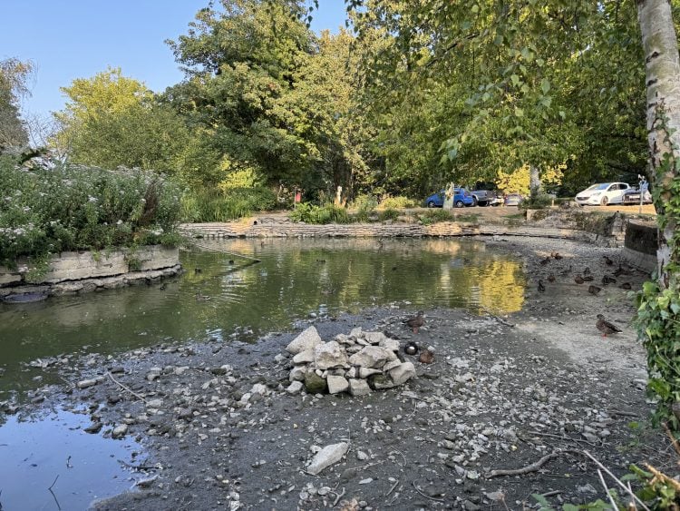 BIG MEAD WILDLIFE SAVED AS 120,000 LITRES OF WATER DELIVERED THANKS TO COMMUNITY EFFORT