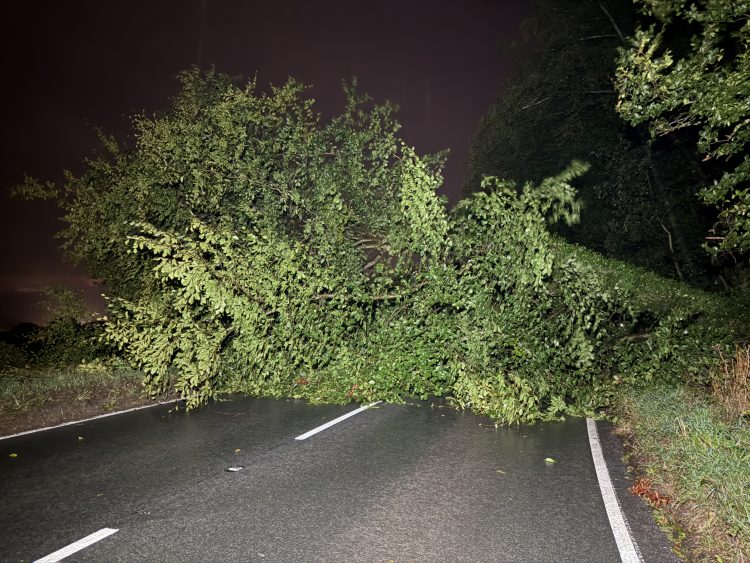 UPDATED: LARGE TREE CRASHES TO THE GROUND AT DOWNEND BLOCKING MAIN ROAD
