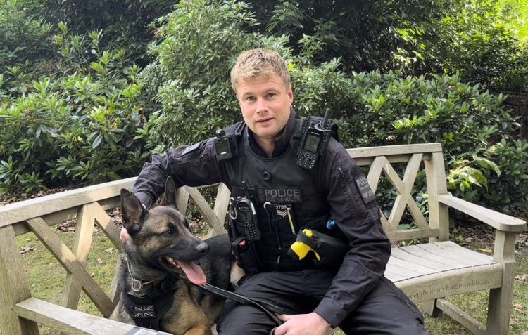 VIDEO: ISLE OF WIGHT’S POLICE DOGS CELEBRATED ON INTERNATIONAL DOG DAY