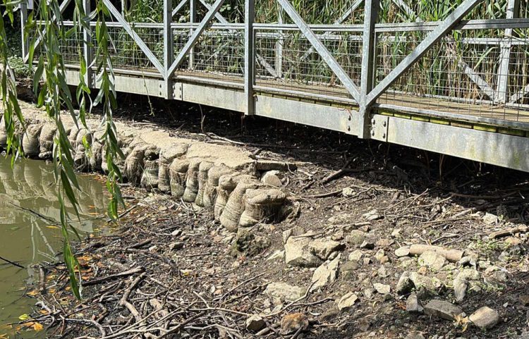 COUNCIL STEPS IN WITH 1,000 LITRES OF WATER A DAY TO SUPPORT STRUGGLING BIG MEAD POND