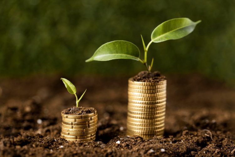 UNLOCKING VALUE THROUGH STRATEGIC NATURAL CAPITAL INVESTMENTS