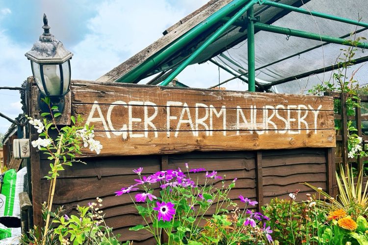 END OF AN ERA AS NEWCHURCH’S AGER FARM NURSERY TO CLOSE AFTER 25 YEARS