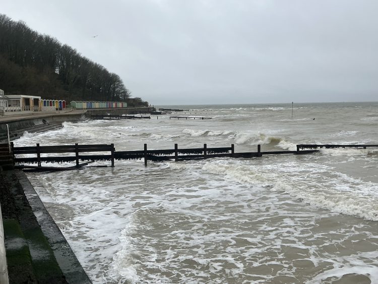 WORK UNDERWAY TO RESTORE TIMBER GROYNES AT LAKE CLIFFS AND COLWELL BAY