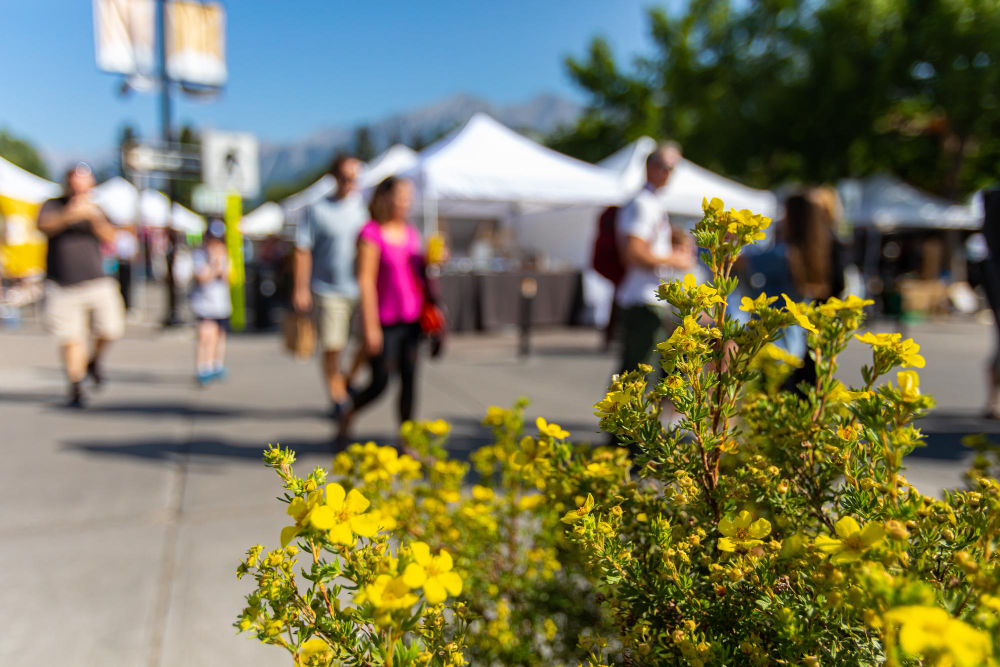 HOW LOCAL BUSINESSES CAN MAKE A LASTING IMPRESSION AT OUTDOOR EVENTS