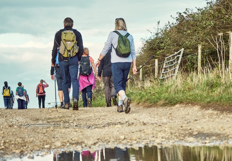 MORE WALKS ADDED TO 2025 ISLE OF WIGHT AUTUMN WALKING FESTIVAL PROGRAMME
