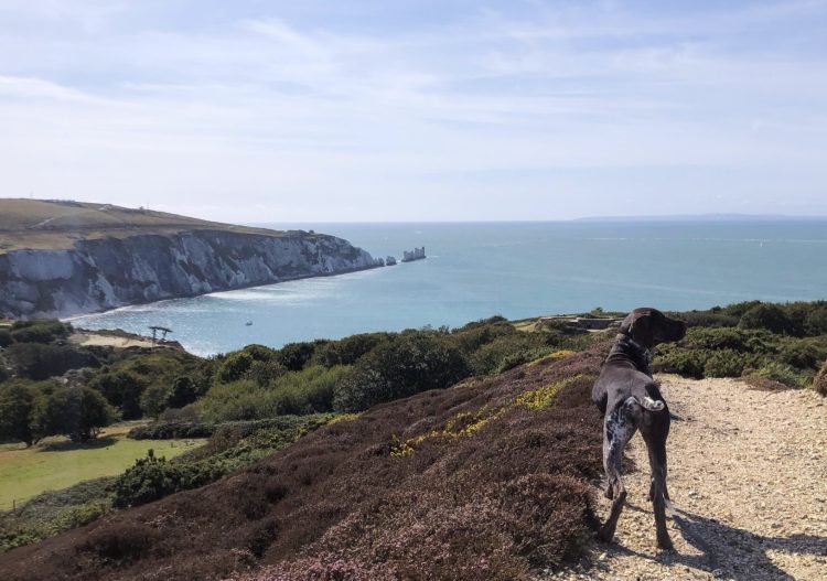 FIRST STRETCHES OF KING CHARLES III ENGLAND COAST PATH OPEN ON ISLE OF WIGHT