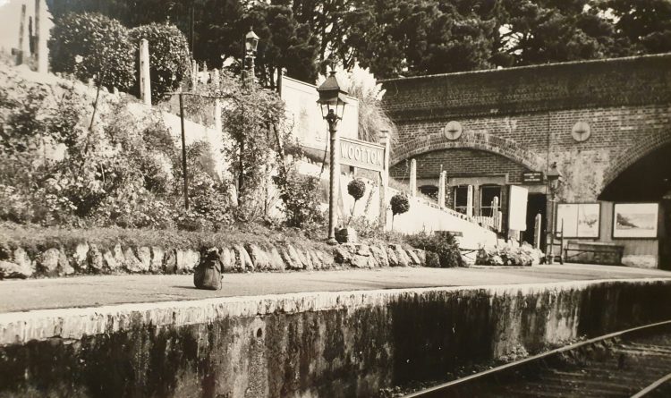 ISLE OF WIGHT RAILWAYS: WOOTTON — THE LITTLE STATION THAT REFUSED TO DIE