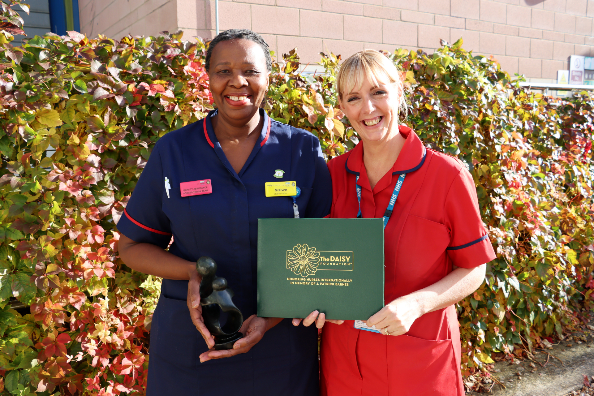 HIGHLY RESPECTED SENIOR NURSE RECOGNISED WITH PRESTIGIOUS AWARD