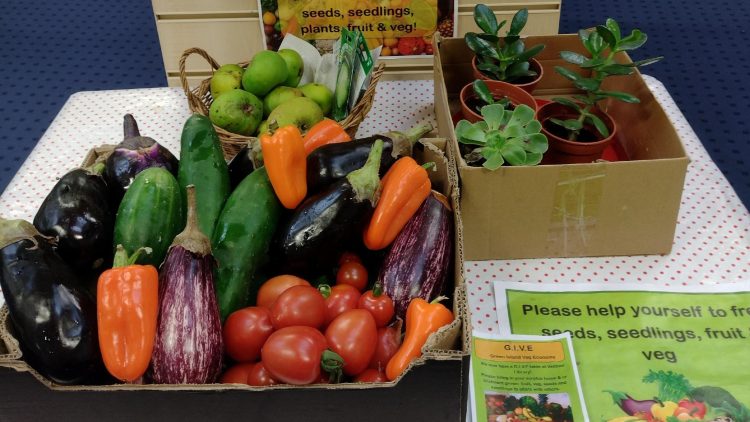 ISLAND LIBRARIES PLANT THE SEEDS OF CHANGE FOR GREEN LIBRARIES WEEK