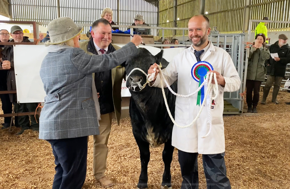 TRADITIONAL GILTEN MARKET TO CELEBRATE ISLAND LIVESTOCK IN DECEMBER