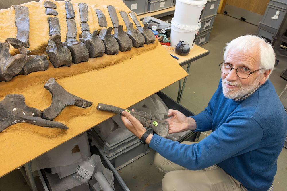 NEVER TOO OLD TO DIG: RETIRED GP AND HIS DINOSAUR DISCOVERIES ON THE ISLE OF WIGHT