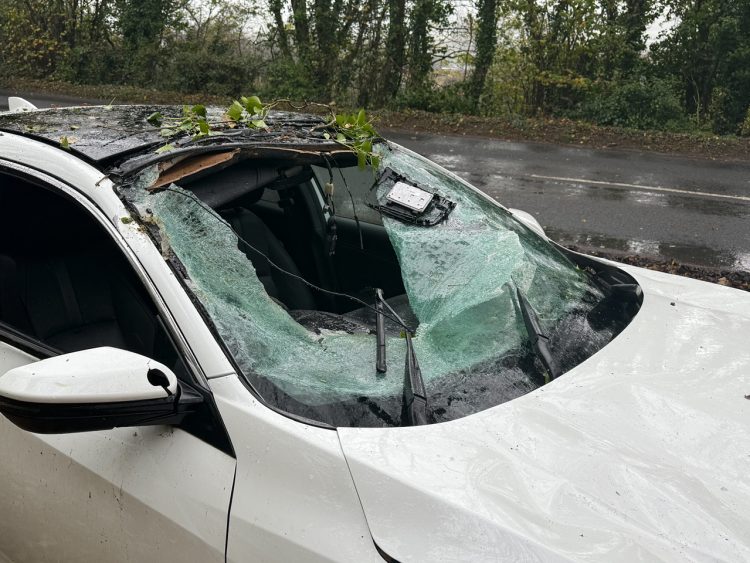 LUCKY ESCAPE FOR DRIVER AS TREE FALLS ON MOVING CAR