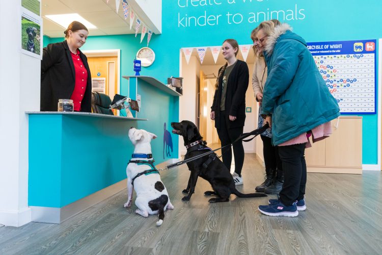 RSPCA EXPANDS BOARDING FACILITIES TO MEET GROWING ISLAND DEMAND