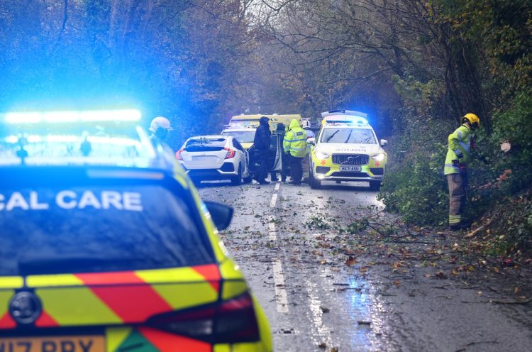 LUCKY ESCAPE FOR DRIVER AS TREE FALLS ON MOVING CAR - Isle of Wight ...
