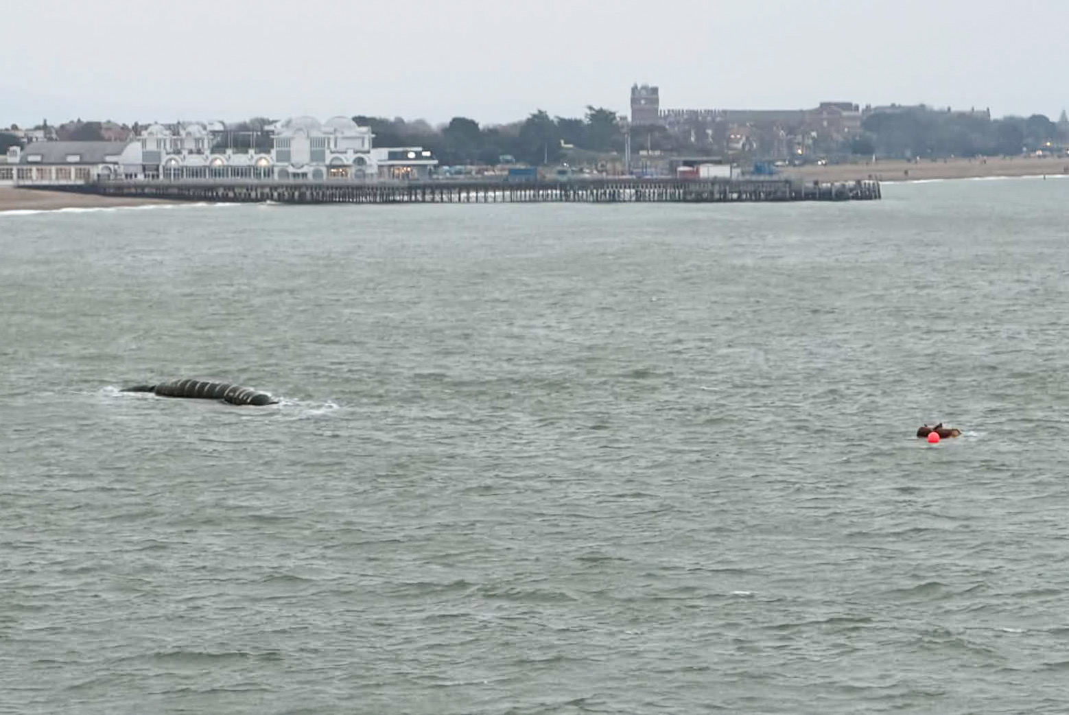 CROSS-SOLENT DELAYS AFTER FERRY RESPONDS TO EMERGENCY OFF PORTSMOUTH SHORE