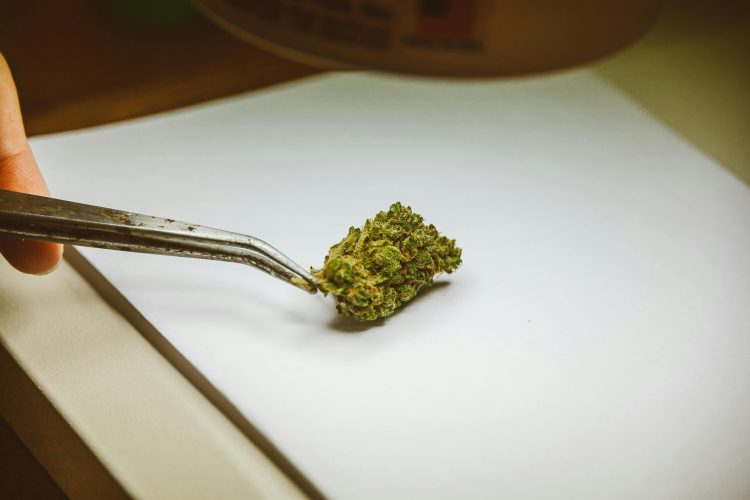 UNDERSTANDING MEDICAL CANNABIS ON THE ISLE OF WIGHT