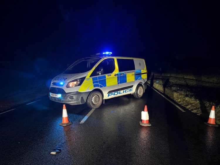 UPDATED: TREE FALLS ACROSS BUSY MAIN ROAD AT DOWNEND