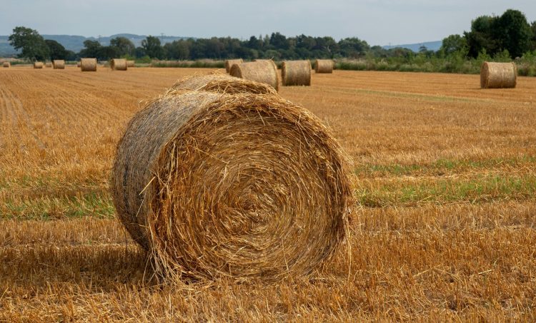 REVISED HAY BARN PLANS APPROVED IN NATIONAL LANDSCAPE AFTER EARLIER REFUSAL