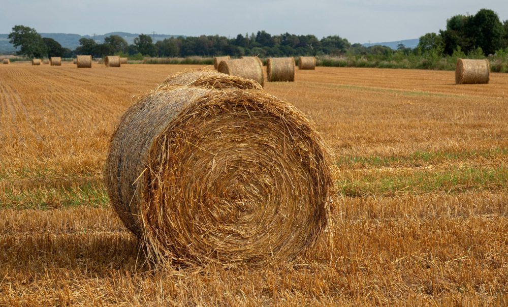 REVISED HAY BARN PLANS APPROVED IN NATIONAL LANDSCAPE AFTER EARLIER REFUSAL