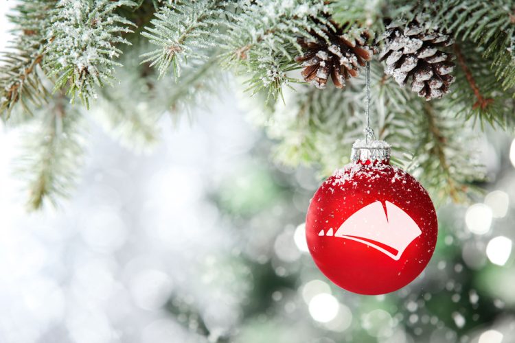 COUNCIL CONFIRM CHANGES TO VITAL SERVICES THIS FESTIVE PERIOD