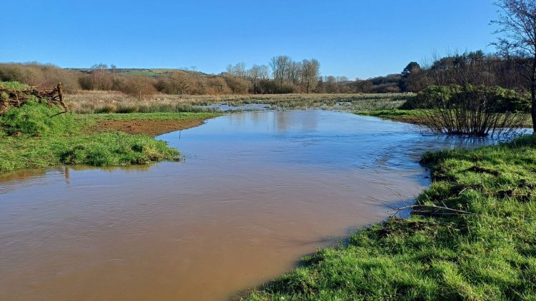EASTERN YAR PROJECT BOOSTS FLOOD PROTECTION AND WILDLIFE HABITATS