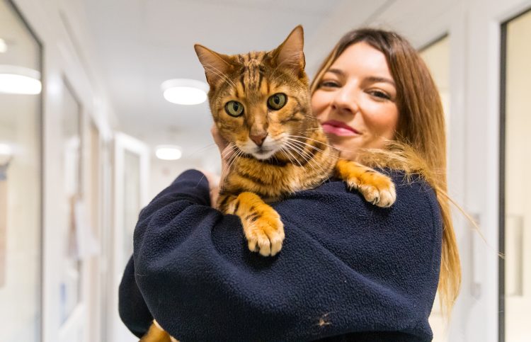 FREE WELFARE CLINICS OFFERED FOR CATS, RABBITS AND GUINEA PIGS BY RSPCA ISLE OF WIGHT