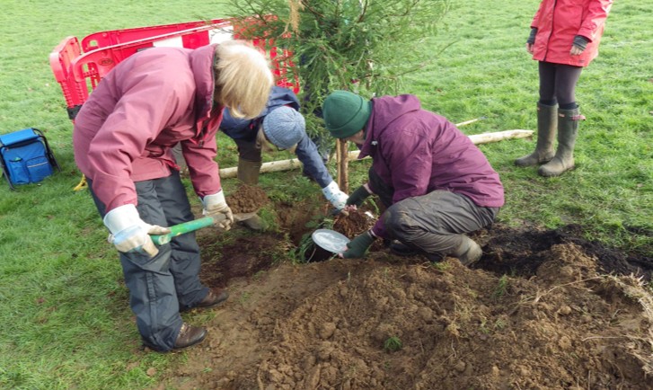 ISLE OF WIGHT COUNCIL TO PLANT 100 TREES AND HEDGEROW TO BOOST BIODIVERSITY