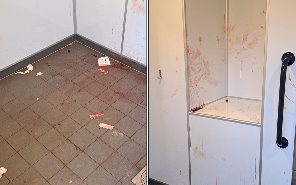 VANDALS STRIKE AGAIN AT LAKE TOILETS AS BLOOD SMEARED AND FIRE ATTEMPTED