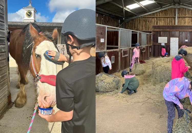 HORSES PROVING A POWERFUL TOOL FOR WELLBEING AMONG ISLE OF WIGHT YOUTH