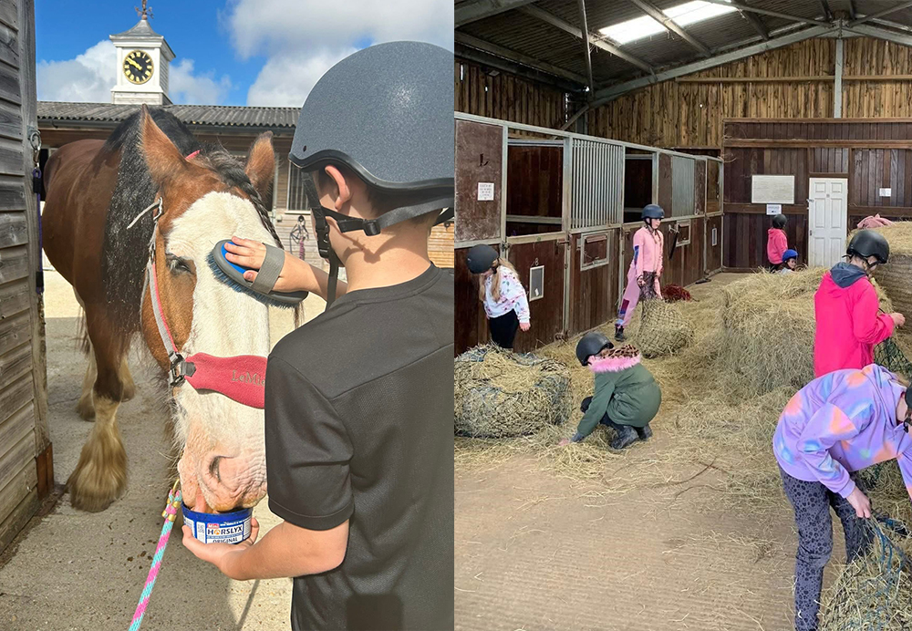 HORSES PROVING A POWERFUL TOOL FOR WELLBEING AMONG ISLE OF WIGHT YOUTH