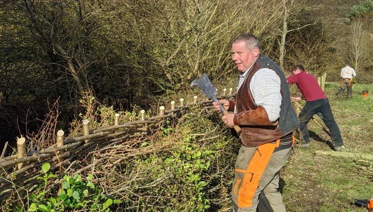 ISLE OF WIGHT HEDGELAYING COMPETITION TO RETURN AFTER 2-YEAR BREAK